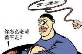 同安专业催债公司的市场需求和前景分析